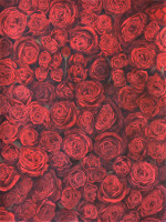 http://panosbalomenos.com/i/files/gimgs/th-42_a64620f6-3497-41c1-97d8-723bf344df93.jpg